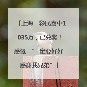 上海一彩民喜中1035万，已兑奖！感慨 “一定要好好感谢我兄弟”