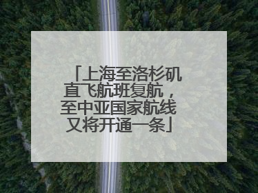 上海至洛杉矶直飞航班复航，至中亚国家航线又将开通一条