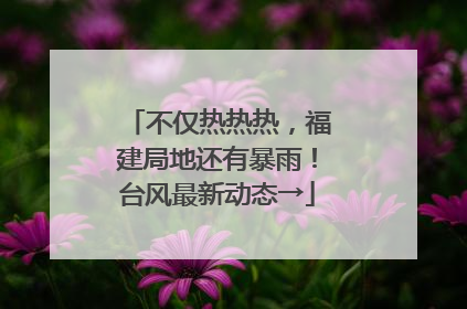不仅热热热，福建局地还有暴雨！台风最新动态→