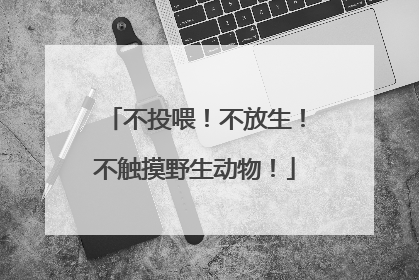 不投喂！不放生！不触摸野生动物！