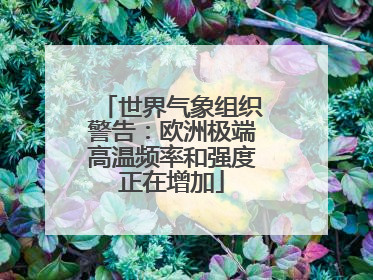 世界气象组织警告：欧洲极端高温频率和强度正在增加