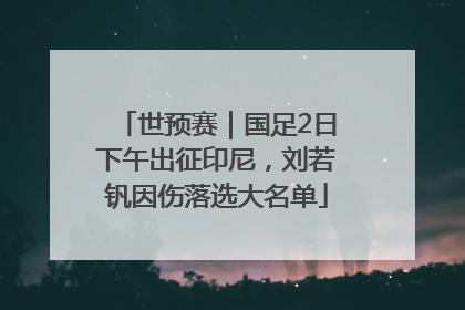 世预赛｜国足2日下午出征印尼，刘若钒因伤落选大名单