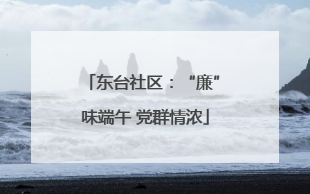 东台社区：“廉”味端午 党群情浓