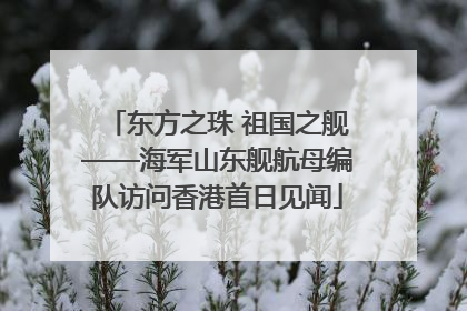 东方之珠 祖国之舰——海军山东舰航母编队访问香港首日见闻