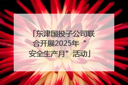 东津国投子公司联合开展2025年“安全生产月”活动
