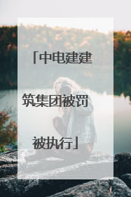 中电建建筑集团被罚被执行