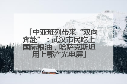 中亚班列带来“双向奔赴”：武汉市民吃上国际粮油，哈萨克斯坦用上鄂产光电屏