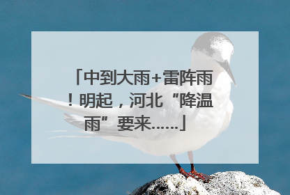 中到大雨+雷阵雨！明起，河北“降温雨”要来……