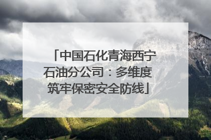 中国石化青海西宁石油分公司：多维度筑牢保密安全防线