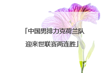 中国男排力克荷兰队 迎来世联赛两连胜