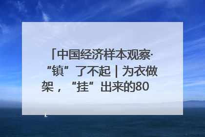 中国经济样本观察·“镇”了不起｜为衣做架，“挂”出来的80亿元“衣架产业”