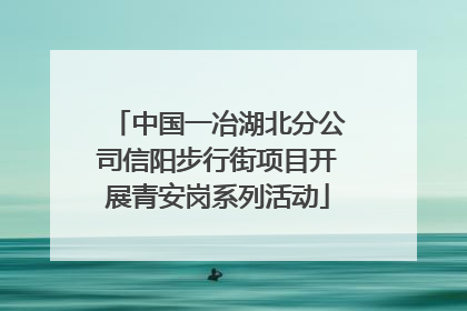 中国一冶湖北分公司信阳步行街项目开展青安岗系列活动