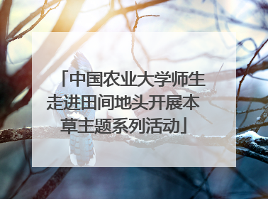 中国农业大学师生走进田间地头开展本草主题系列活动