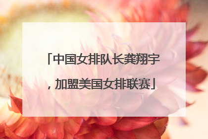 中国女排队长龚翔宇，加盟美国女排联赛