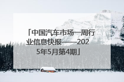 中国汽车市场一周行业信息快报——2025年5月第4期