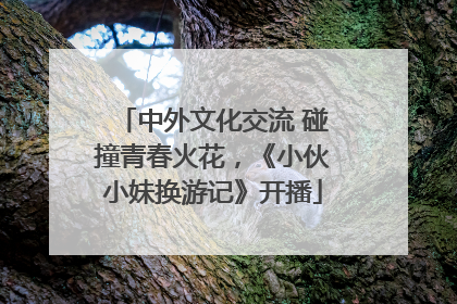 中外文化交流 碰撞青春火花，《小伙小妹换游记》开播