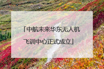 中航未来华东无人机飞训中心正式成立