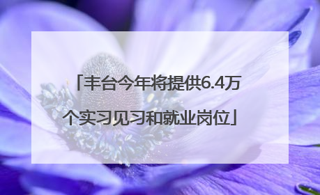 丰台今年将提供6.4万个实习见习和就业岗位