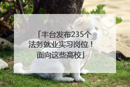 丰台发布235个法务就业实习岗位！面向这些高校