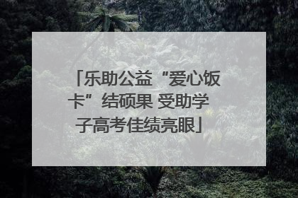 乐助公益“爱心饭卡”结硕果 受助学子高考佳绩亮眼