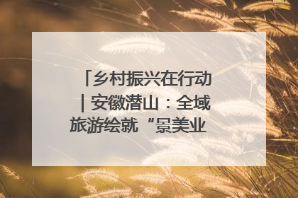 乡村振兴在行动｜安徽潜山：全域旅游绘就“景美业兴民富”新画卷