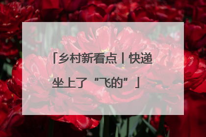 乡村新看点丨快递坐上了“飞的”