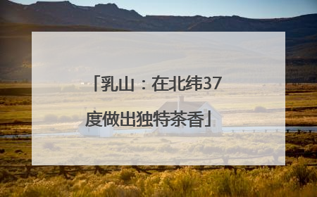 乳山：在北纬37度做出独特茶香