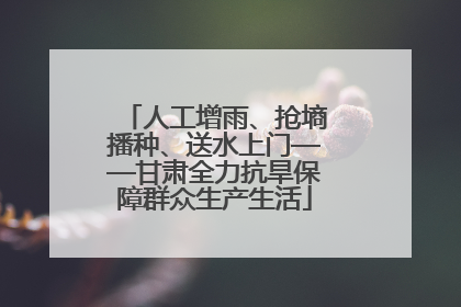人工增雨、抢墒播种、送水上门——甘肃全力抗旱保障群众生产生活