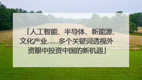 人工智能、半导体、新能源、文化产业……多个关键词透视外资眼中投资中国的新机遇