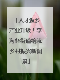 人才返乡 产业升级！李海务街道绘就乡村振兴新图景