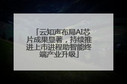 云知声布局AI芯片成果显著，持续推进上市进程助智能终端产业升级