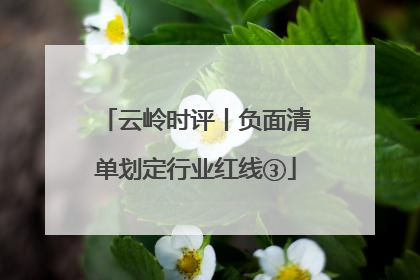 云岭时评丨负面清单划定行业红线③