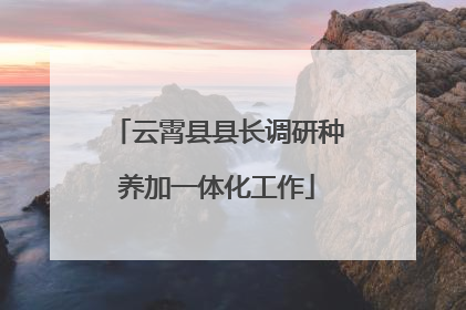 云霄县县长调研种养加一体化工作