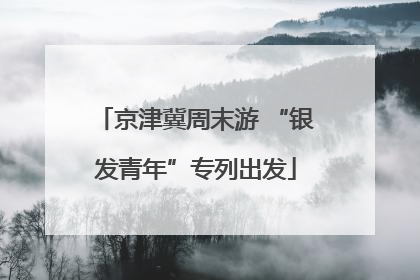 京津冀周末游 “银发青年”专列出发