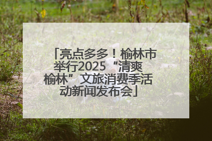 亮点多多！榆林市举行2025“清爽榆林”文旅消费季活动新闻发布会