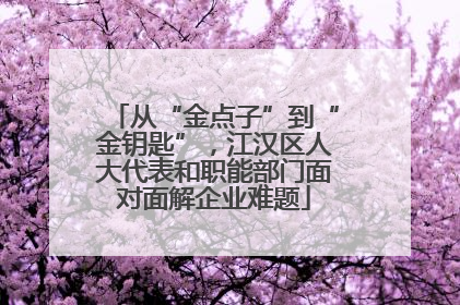从“金点子”到“金钥匙”，江汉区人大代表和职能部门面对面解企业难题