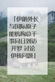 伊朗外长与国际原子能机构总干事同日到访开罗 讨论伊核问题