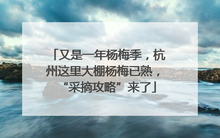 又是一年杨梅季，杭州这里大棚杨梅已熟，“采摘攻略”来了