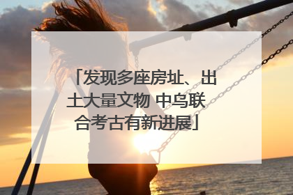 发现多座房址、出土大量文物 中乌联合考古有新进展