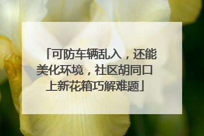 可防车辆乱入，还能美化环境，社区胡同口上新花箱巧解难题