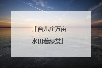 台儿庄万亩水田着绿裳