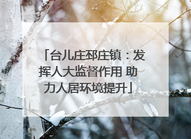 台儿庄邳庄镇：发挥人大监督作用 助力人居环境提升