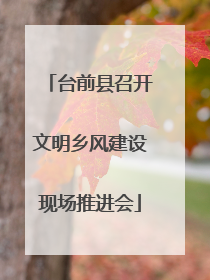 台前县召开文明乡风建设现场推进会