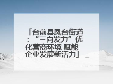 台前县凤台街道：“三向发力”优化营商环境 赋能企业发展新活力