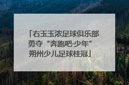 右玉玉浓足球俱乐部勇夺“奔跑吧·少年”朔州少儿足球桂冠