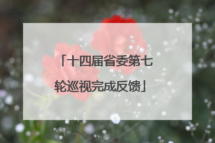 十四届省委第七轮巡视完成反馈