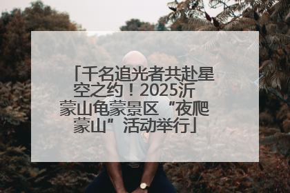 千名追光者共赴星空之约！2025沂蒙山龟蒙景区“夜爬蒙山”活动举行