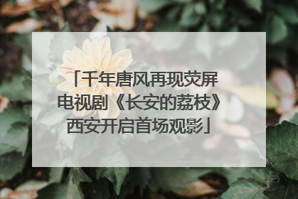 千年唐风再现荧屏 电视剧《长安的荔枝》西安开启首场观影