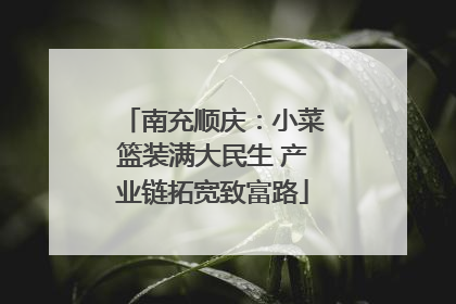 南充顺庆：小菜篮装满大民生 产业链拓宽致富路