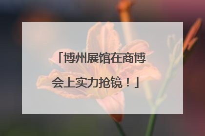 博州展馆在商博会上实力抢镜！